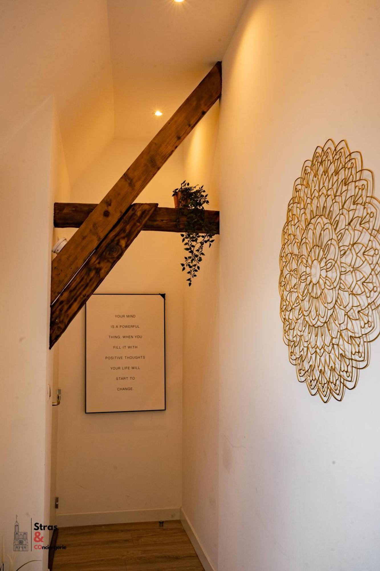 Belles Combles Alsaciennes Au Centre De Strasbourg Apartment Ngoại thất bức ảnh