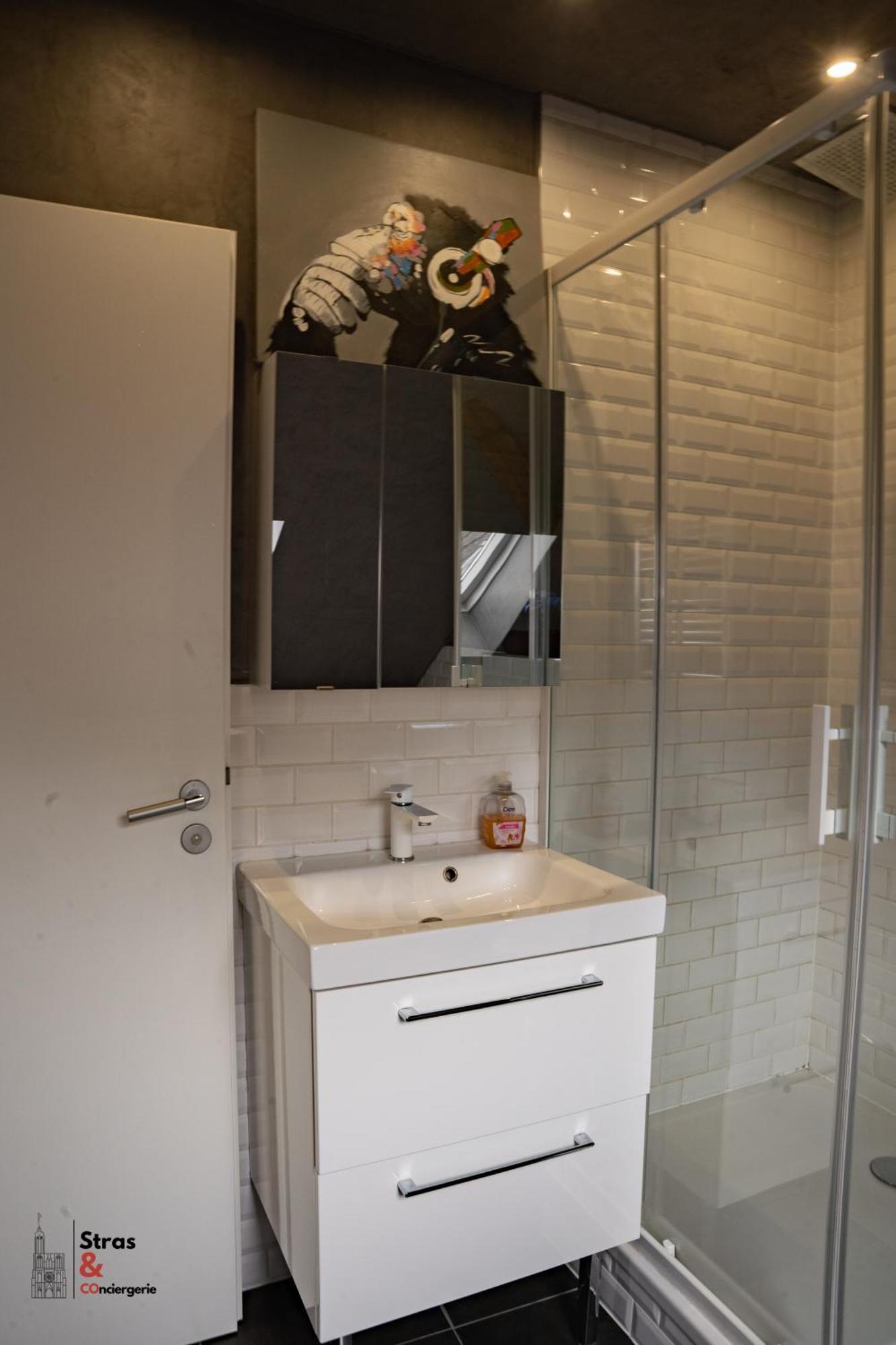 Belles Combles Alsaciennes Au Centre De Strasbourg Apartment Ngoại thất bức ảnh